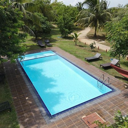 Yala Peace Cottages Tissamaharama Ngoại thất bức ảnh