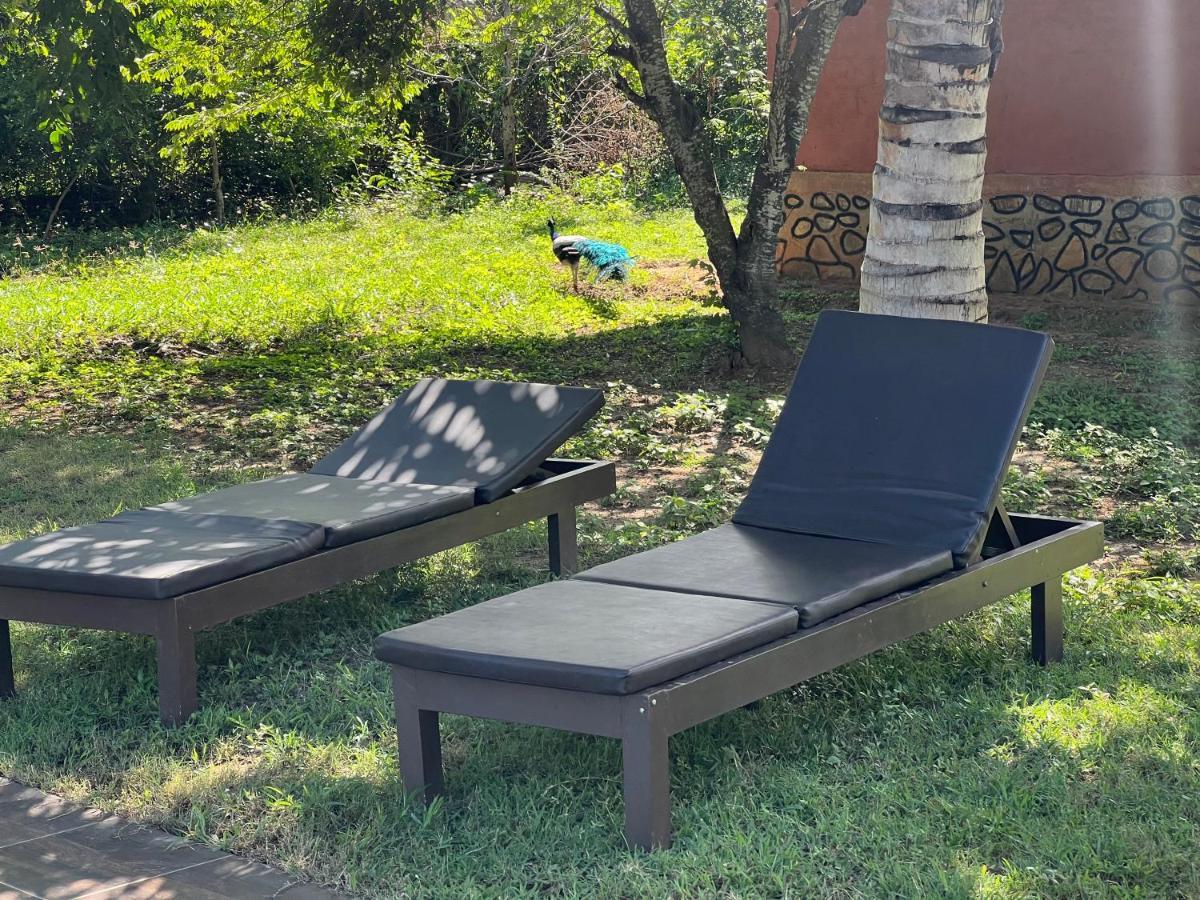 Yala Peace Cottages Tissamaharama Ngoại thất bức ảnh