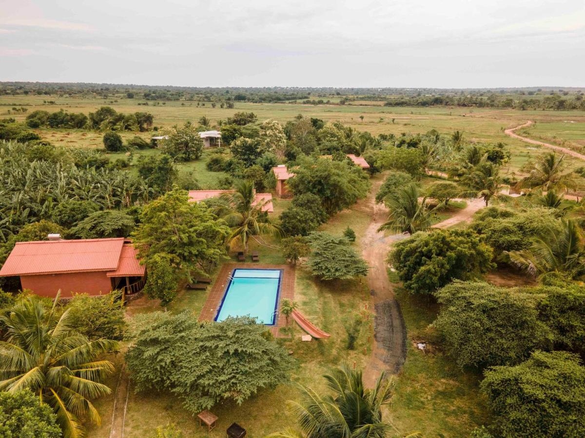 Yala Peace Cottages Tissamaharama Ngoại thất bức ảnh