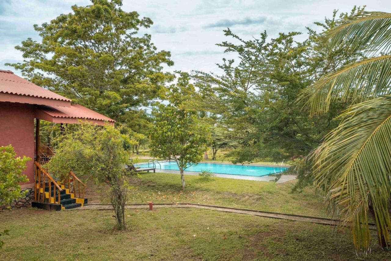 Yala Peace Cottages Tissamaharama Ngoại thất bức ảnh