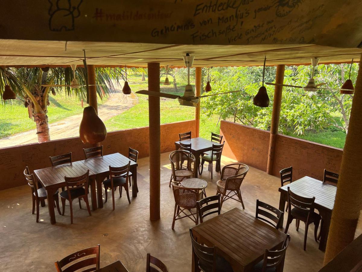 Yala Peace Cottages Tissamaharama Ngoại thất bức ảnh
