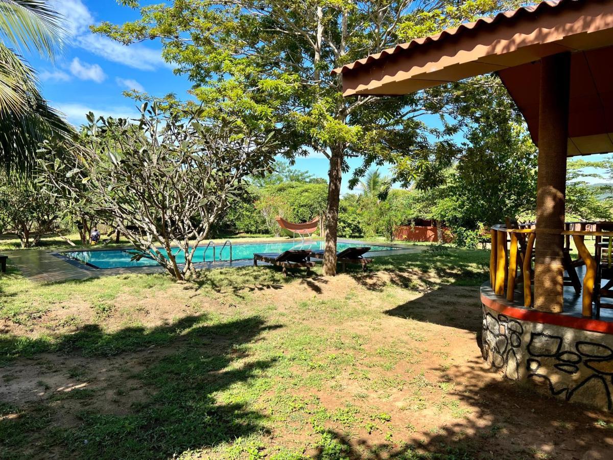 Yala Peace Cottages Tissamaharama Ngoại thất bức ảnh