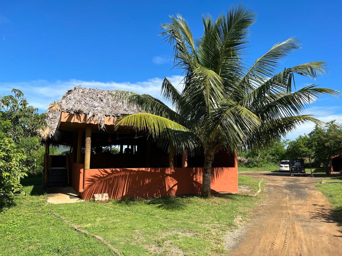 Yala Peace Cottages Tissamaharama Ngoại thất bức ảnh