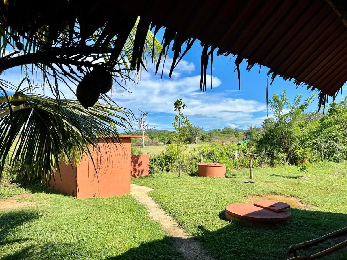Yala Peace Cottages Tissamaharama Ngoại thất bức ảnh