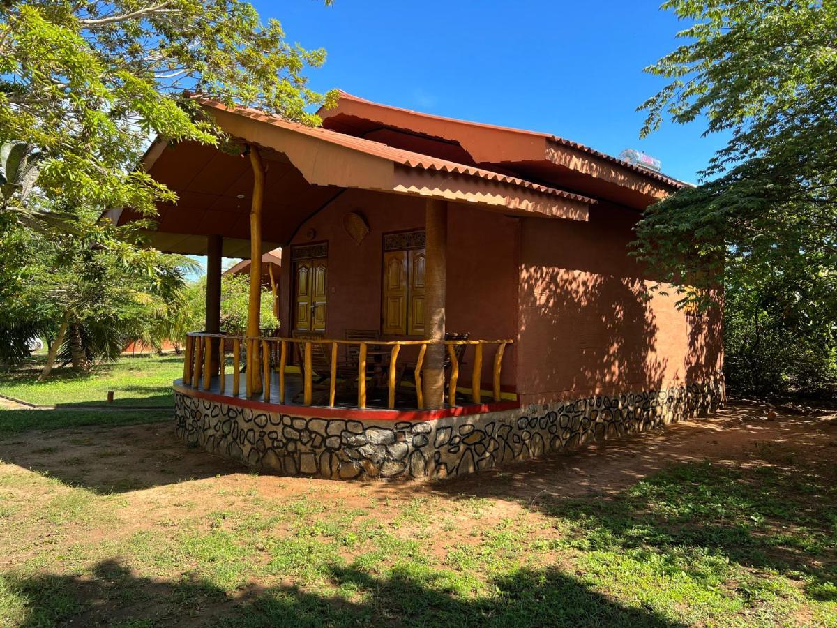 Yala Peace Cottages Tissamaharama Ngoại thất bức ảnh