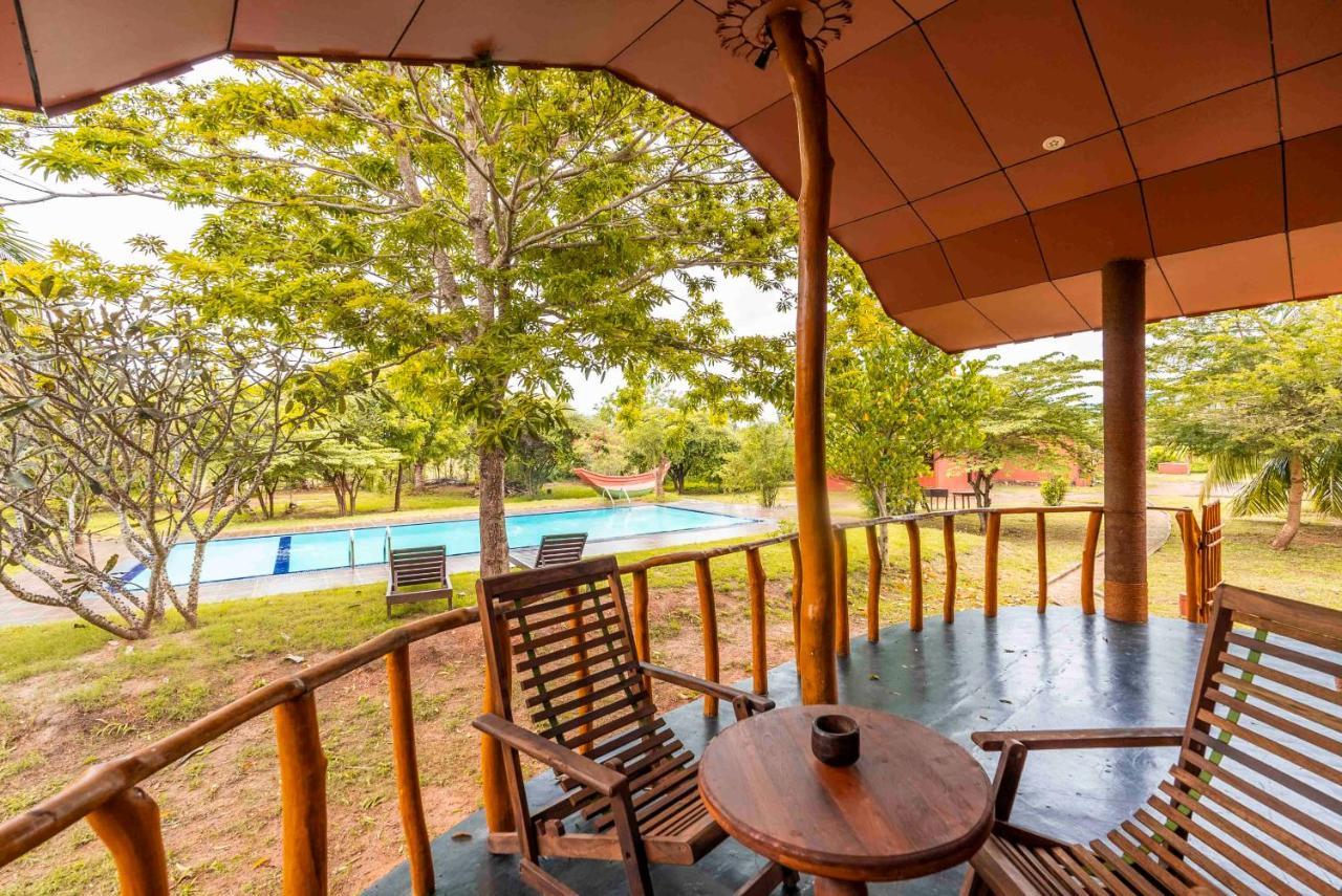 Yala Peace Cottages Tissamaharama Ngoại thất bức ảnh