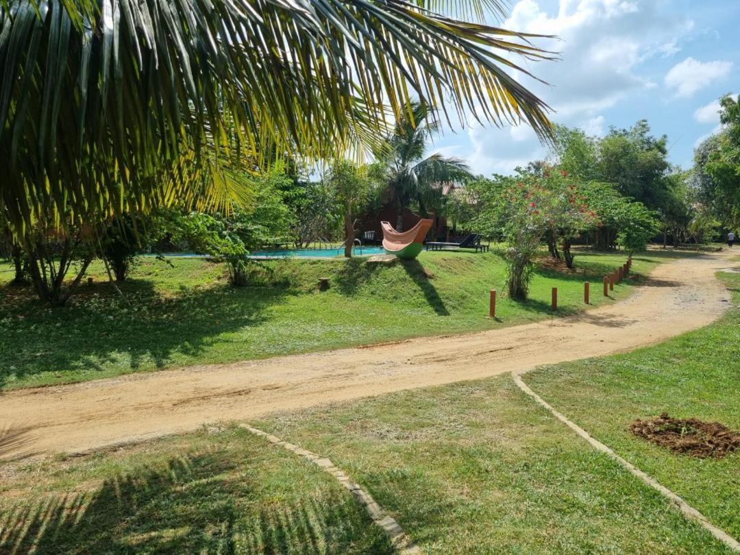 Yala Peace Cottages Tissamaharama Ngoại thất bức ảnh