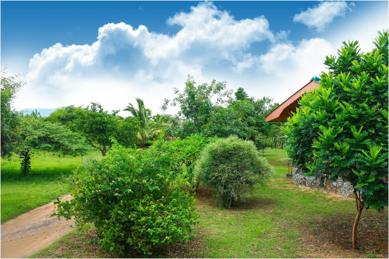Yala Peace Cottages Tissamaharama Ngoại thất bức ảnh