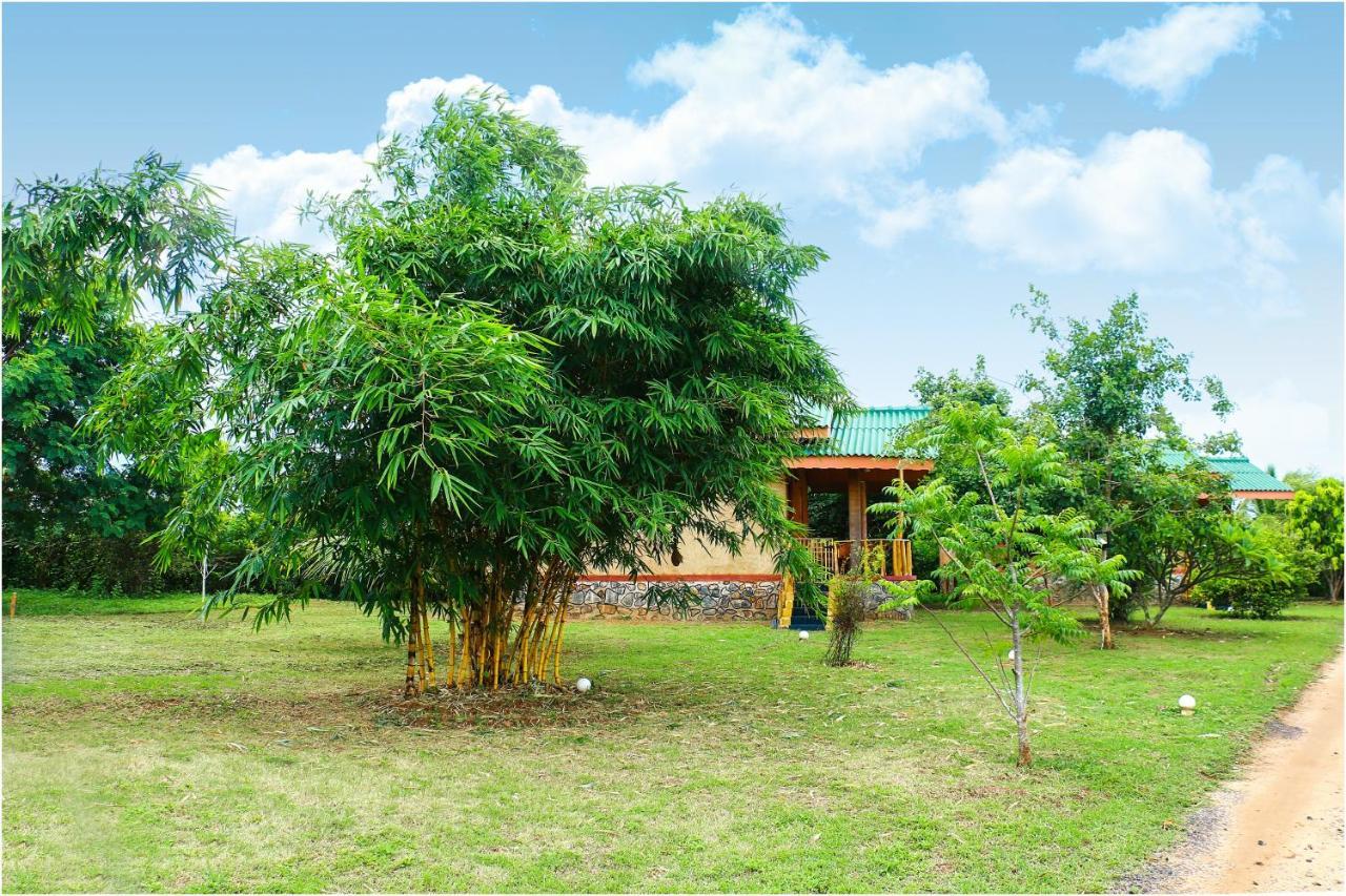 Yala Peace Cottages Tissamaharama Ngoại thất bức ảnh
