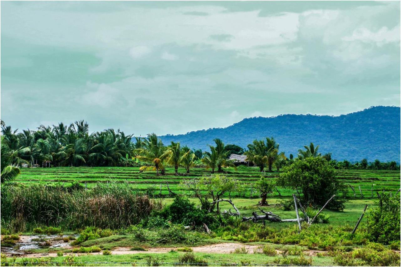 Yala Peace Cottages Tissamaharama Ngoại thất bức ảnh