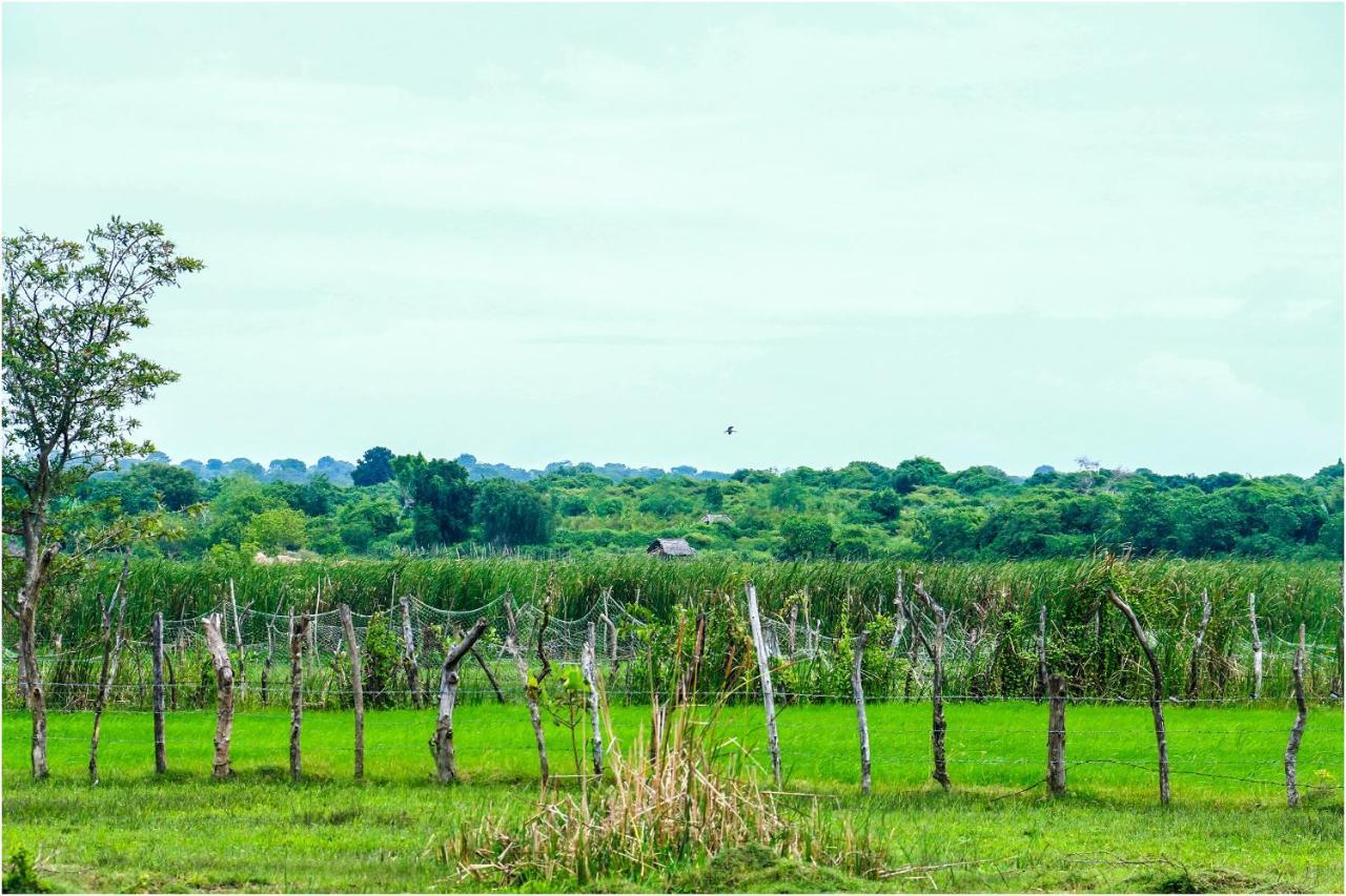Yala Peace Cottages Tissamaharama Ngoại thất bức ảnh